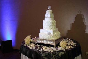 Sheraton-San-Diego-Cake-Pinspot-Light