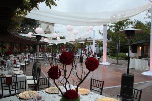 Japanese-Friendship-Garden-Market-Lights-Japanese-Paper-Lanters-and-Chiffon-Draping