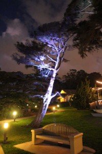 Martin-Johnson-House-Lights