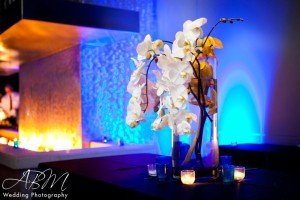 The Ultimate Skybox, LED Uplighting