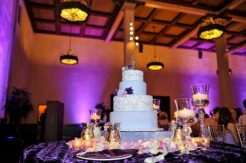 The-Prado-San-Diego-cake-pinspot-lights-with-purple-uplights The-Prado-San-Diego-cake-pinspot-lights-with-purple-uplights