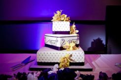 the-hyatt-mission-bay-cake-pinspot-lights the-hyatt-mission-bay-cake-pinspot-lights