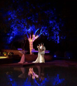 uplights-for-trees-and-foliage-outdoor-lighting uplights-for-trees-and-foliage-outdoor-lighting