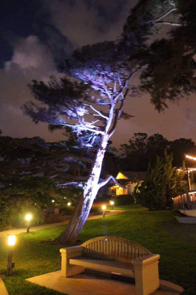 Martin-Johnson-House-Lights